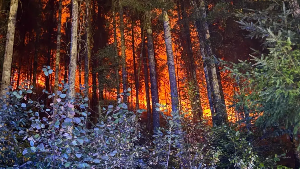 Waldbrand Schramberg