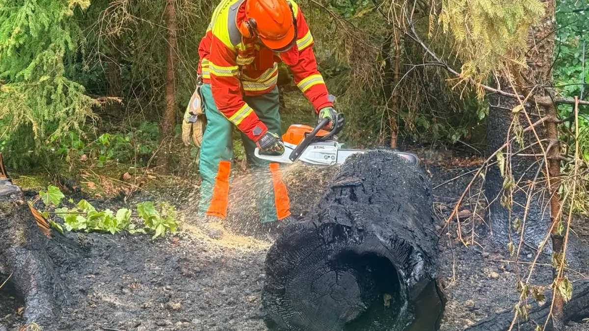 Die Feuerwehr Rottweil rückte am Donnerstag zu einem Brand in einem Wald aus.