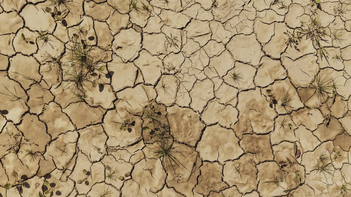 Duerre: Ausgetrockneter Boden, aufgenommen in Lunca de Sos, 30.07.2026. Lunca de Sos Rumaenien *** Parched soil, photographed in Lunca de Sos, July 30, 2026, Lunca de Sos, Romania Copyright: xFlorianxGaertnerx