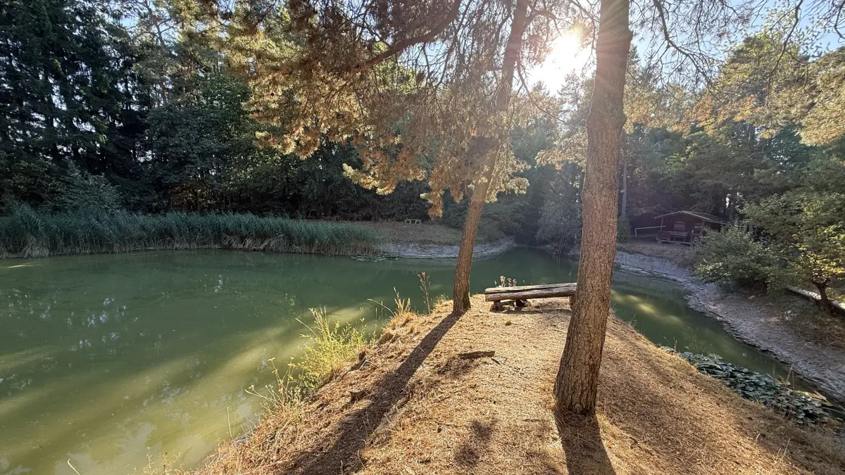 Idyllisch mitten im Wald liegt der Weiher, der ein herrlicher Verweilplatz an heißen Tagen ist.