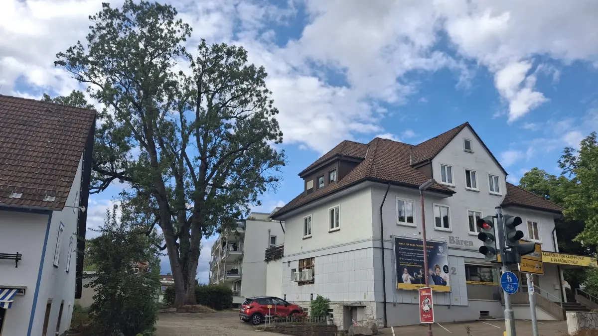 Die imposante Esche in Sulgen ist nicht mehr verkehrssicher.