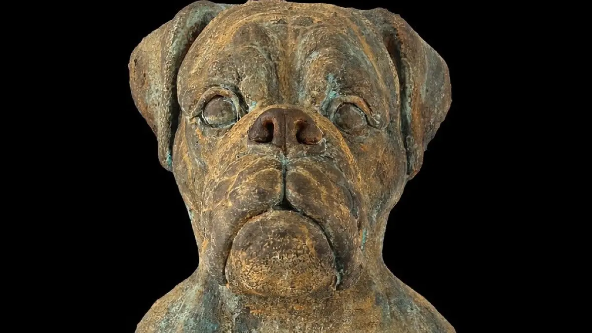 Der Boxer