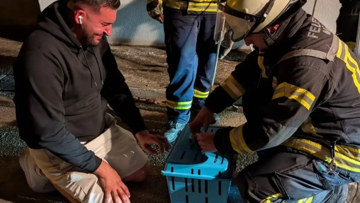 Emotionen pur: Katze Nala ist von der Feuerwehr Neuried aus dem Gebäude in der Kirchstraße in Altenheim gerettet worden. Fünf Tage war für den Besitze Mohammad ungewiss, ob sein Tier noch lebt.