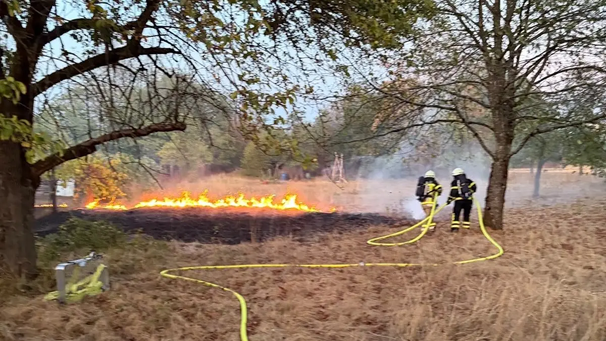 Die Feuerwehr Schopfheim wurde am Sonntagabend zu einem Flächenbrand gerufen.