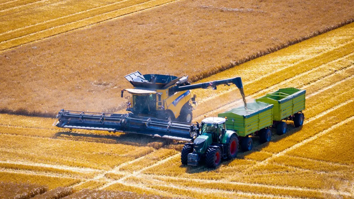 Getreideernte: ARCHIV - 08.07.2026, Mecklenburg-Vorpommern, Dalberg: Ein Mähdrescher fährt bei der Ernte von Gerste über einen Getreideacker. (Luftaufnahme mit einer Drohne) (zu dpa: «Getreideernteertrag verharrt ungefähr auf Vorjahresniveau») Foto: Jens Büttner/dpa +++ dpa-Bildfunk +++