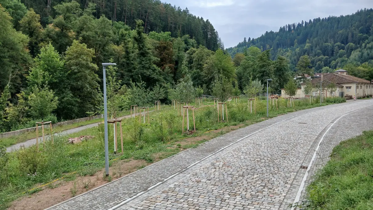 Der neue Park direkt an der Nagold soll im Herbst eingeweiht werden.