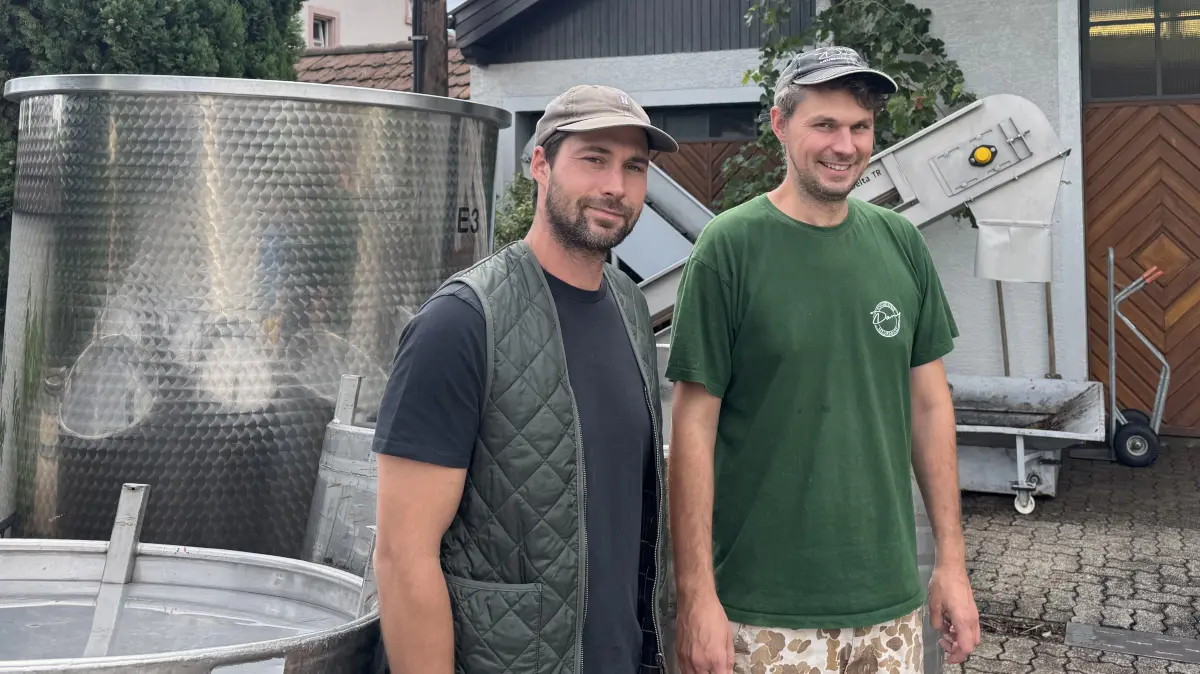 Sie haben schon einen Großteil der Lese hinter sich: Christoph (l.) und Johannes Schneider vom Weingut am Schlipf