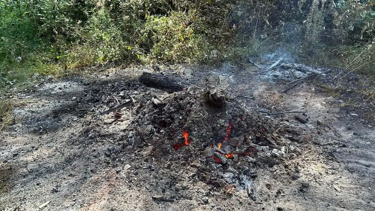 Das Feuer wurde unbeaufsichtigt zurückgelassen.