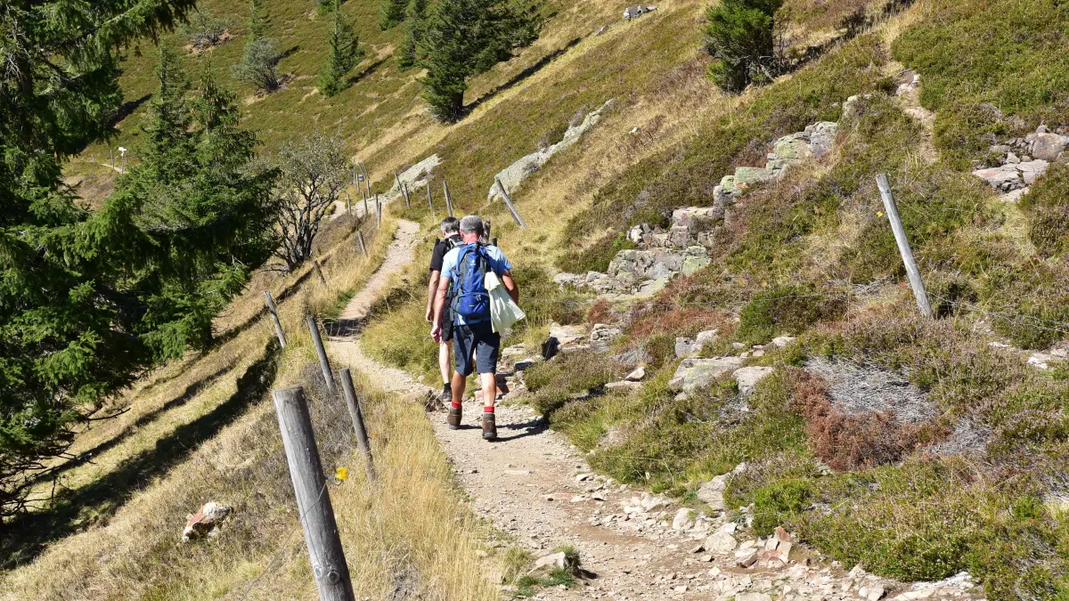 Beim Wandern sollte man die Wege nicht verlassen.