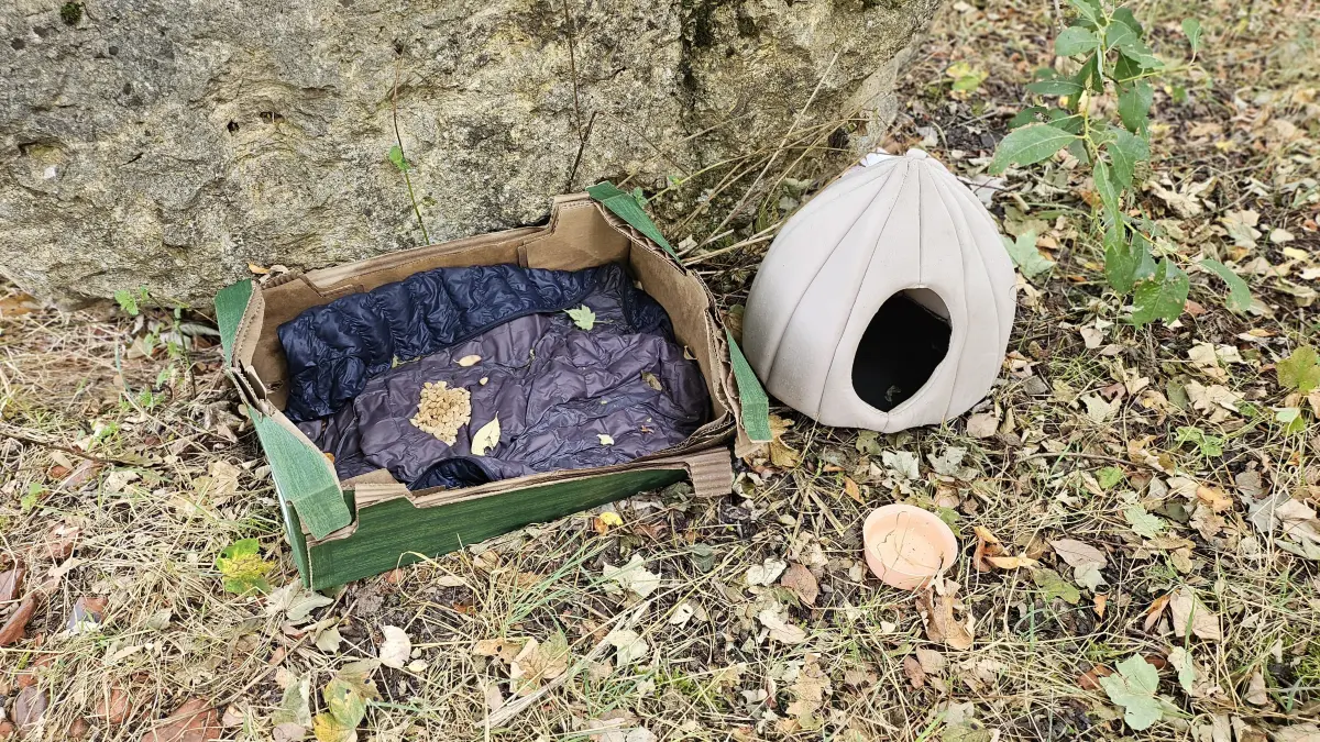 Mit Unterschlupf und einer Futterstelle, die mit der Jacke aus der Besitzerfamilie ausgelegt ist, versucht man, Kater Michi anzulocken.