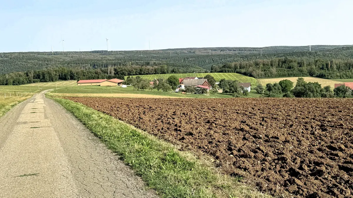 In der Umgebung der Schabelhöfe wurde die getötete Katze gefunden. Zur Klarstellung: Ein Zusammenhang zwischen dem Fundort und den Höfen wird nicht vermutet.