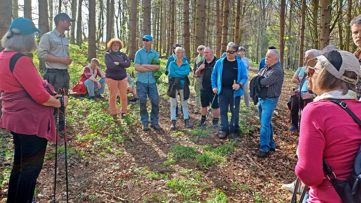 Die Waldbegehungen im Frühjahr sind Bestandteil des Projekts Bad Dürrheim blüht auf. Revierförster Matthias Berger gibt hier Einblicke in die Natur.