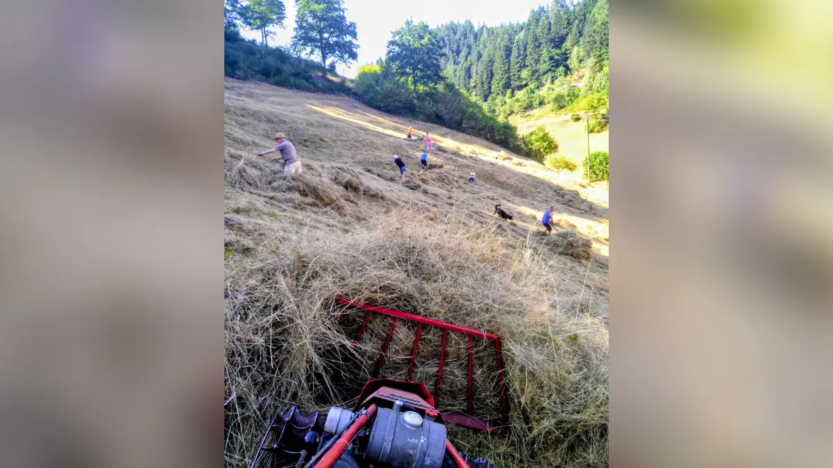 Offenhaltung Landschaft rund um das Witticher Kloster