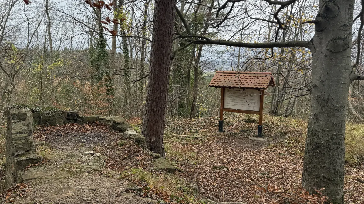 Nur noch einige Mauerreste sind von der ehemaligen Burg Ror bei Bisingen mitten im Wald übrig. Eine Tafel informiert über die reiche Geschichte, verborgen im Erdreich.