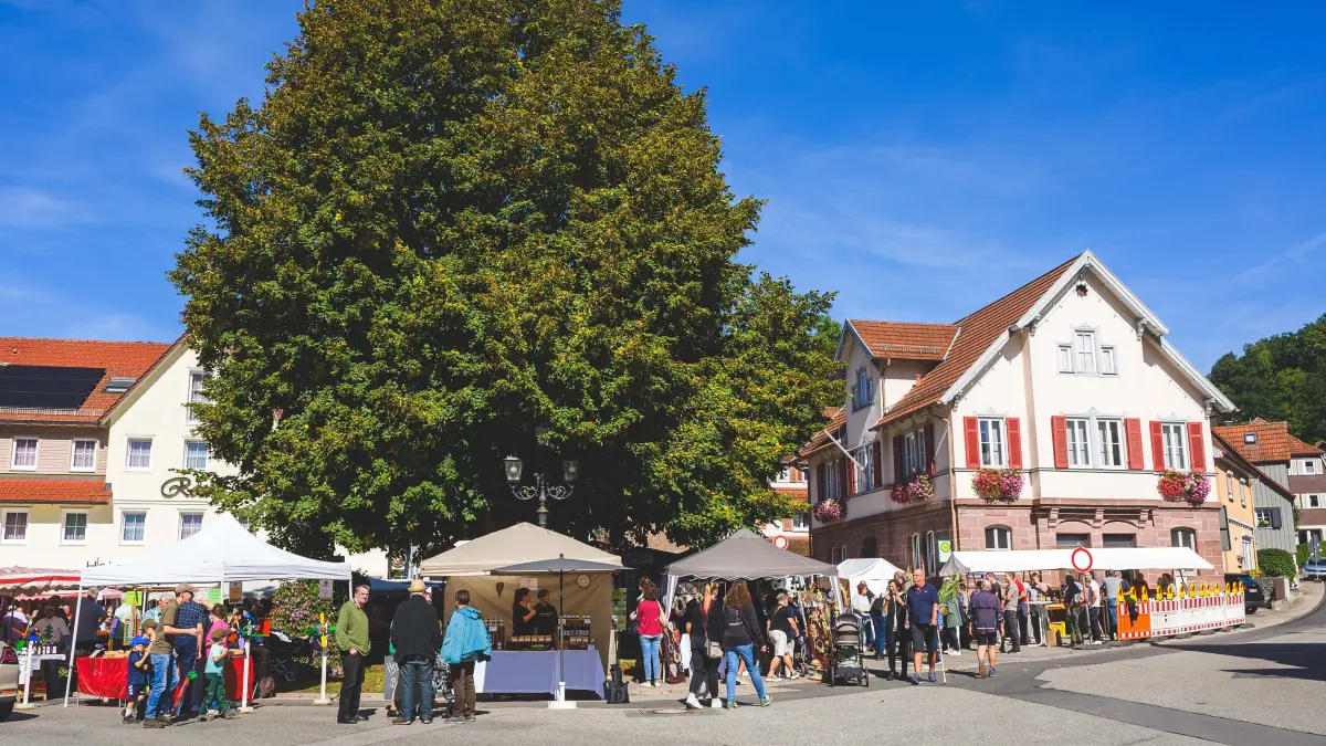 Am 5. September können sich wieder zahlreiche Marktbeschicker, Einheimische und Gäste auf dem Bernecker Markt treffen.