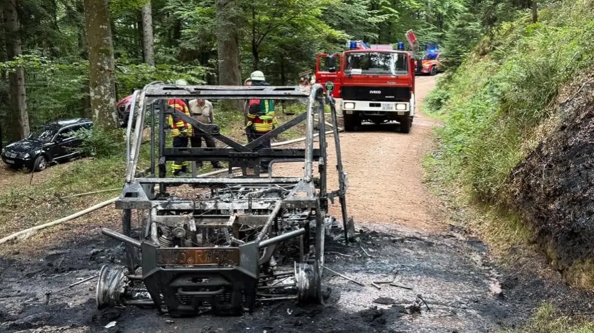 Der Wagen brannte komplett aus.