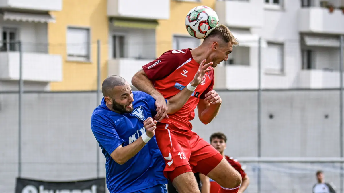 Alessio Paciulli, Tim Heininger