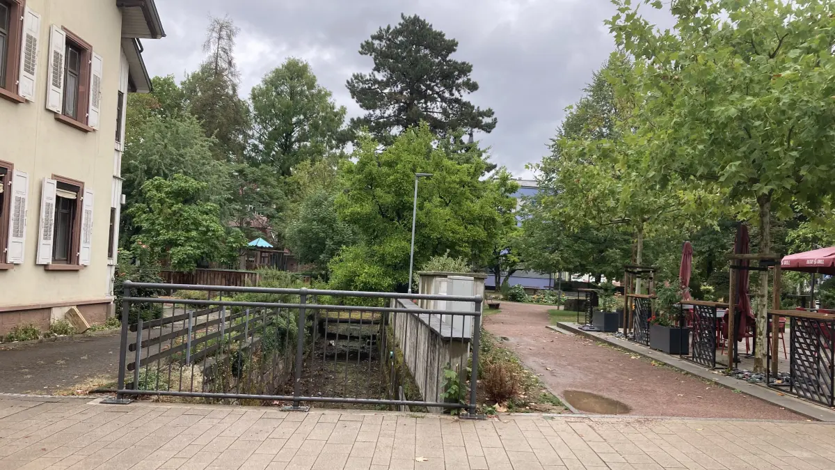 Auch die Zukunft des städtischen Wuhrs ist Thema.
