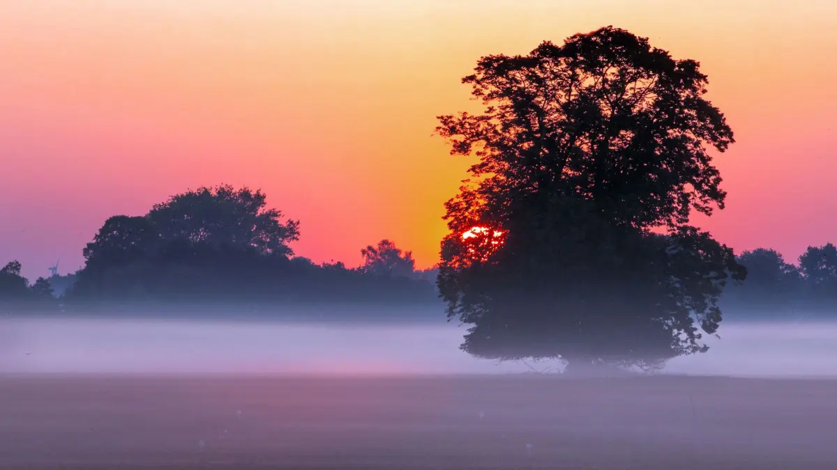 Sonnenaufgang im Morgennebel