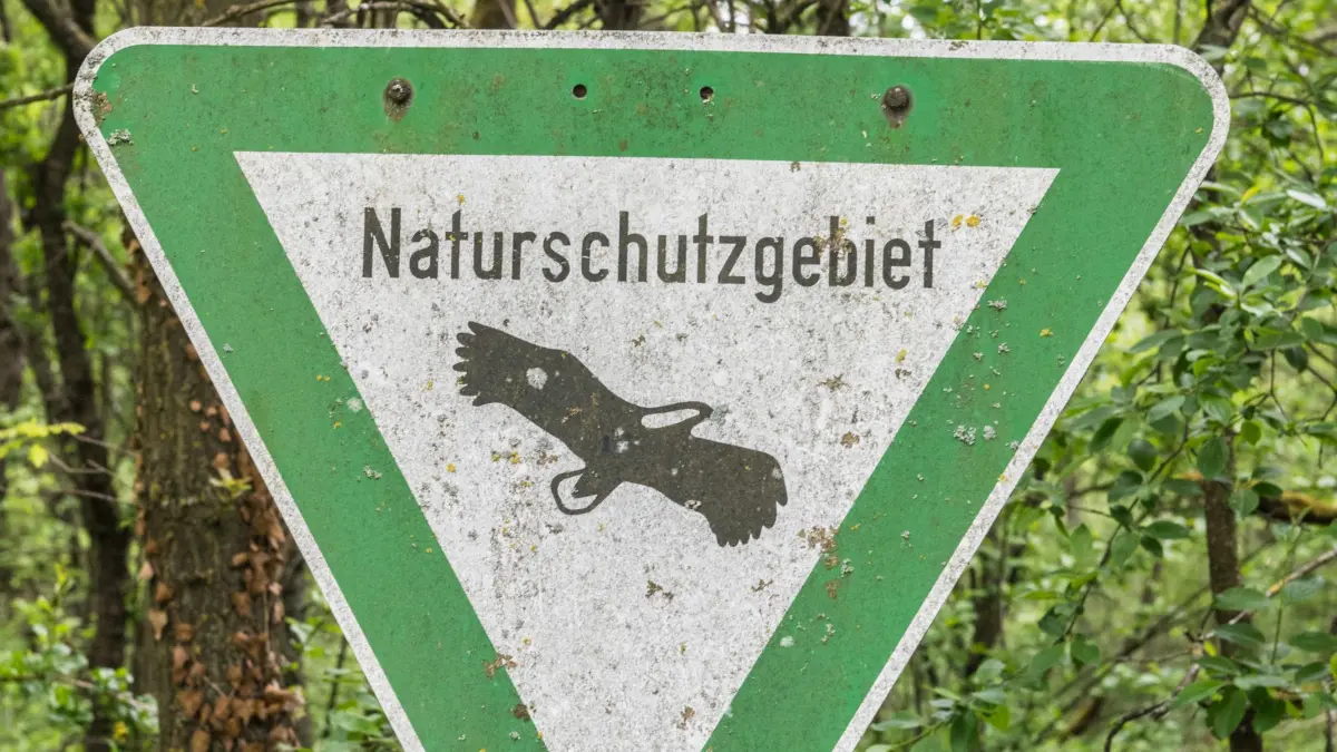 Die illegale Rave-Veranstaltung fand im Naturschutzgebiet statt.