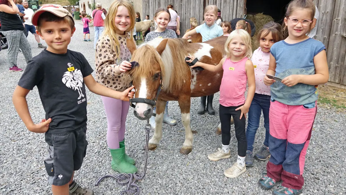 Das Striegeln der Ponys bereitete den Kindern viel Freude.