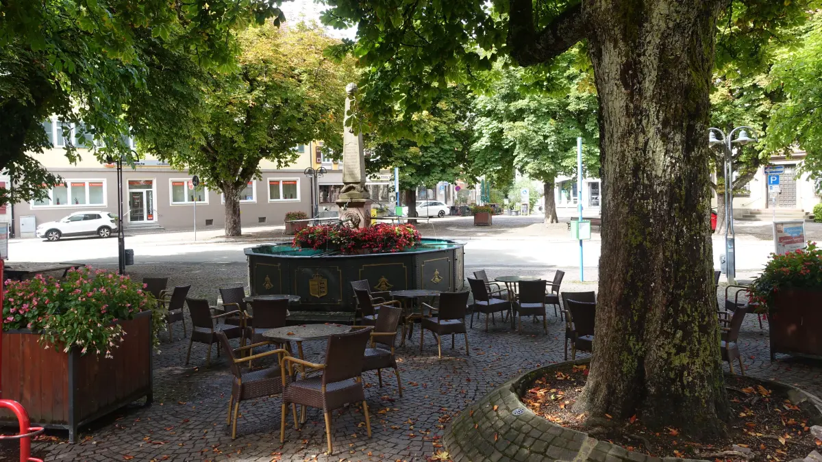 Für Menschen mit bestimmten nicht sichtbaren Behinderungen sind Menschenmengen oder volle Busse oftmals ein Problem. Eine deutlich angenehmere Atmosphäre bietet der Marktplatz in Sulz.