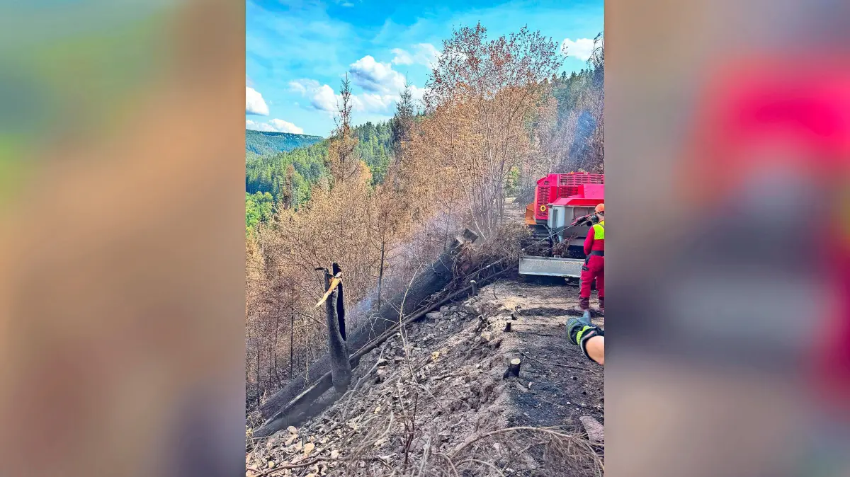 Einmal mehr war die Feuerwehr am Hang im Einsatz.