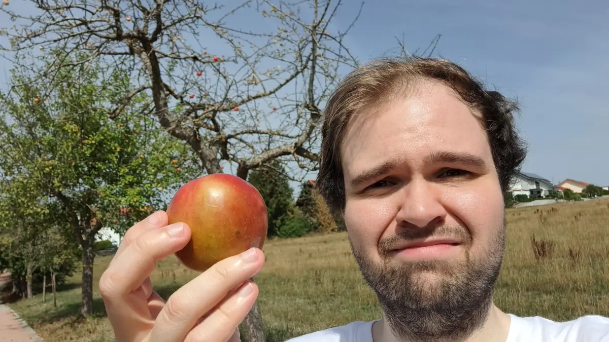 Ein wenig muss man suchen, aber es gibt reife Äpfel rund um die Donaueschinger Streuobstbäume.