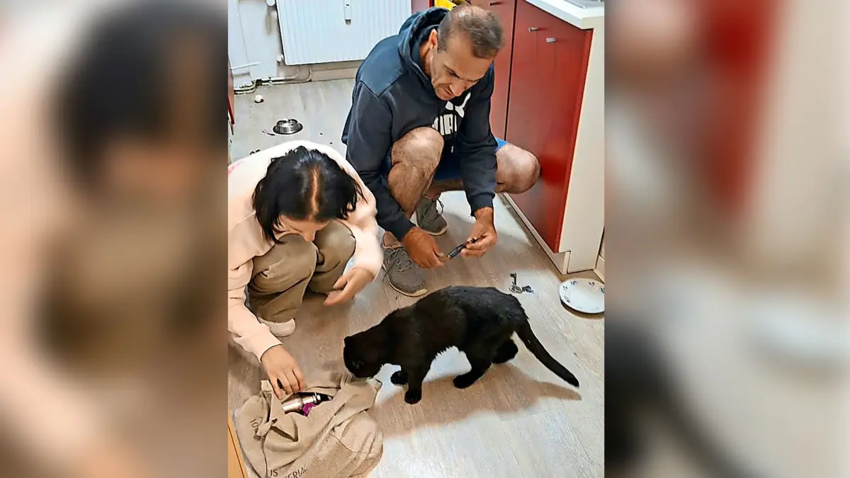 Die Familie kümmert sich Kater Michi, der in der Nacht auf Dienstag zurückgekehrt ist.