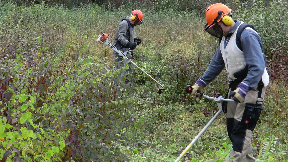 Auch langjährig etablierte Arbeitseinsätze des Nabu, wie hier zur Landschaftspflege im Hechinger Schafwasen, werden nicht mehr gefördert