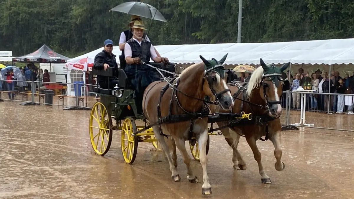 Beim Rossmärt werden wieder Gespanne und Pferde präsentiert und prämiert (Archivfoto).