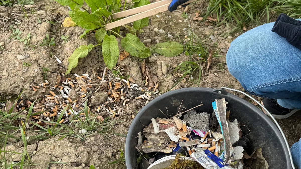 Mit Greifzange und Eimer sammelten die Haltinger Pickups beim ersten Weiler Frühjahrs-Cleanup im März wurden unter anderem zahlreiche Zigarettenkippen eingesammelt. . Foto: Jürgen Rühle