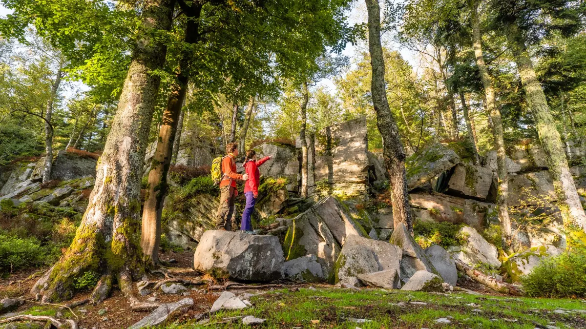 Die Wanderung zu den Volzemer Steinen gilt als echter Geheimtipp.