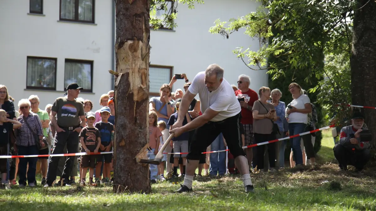 Museumsfest