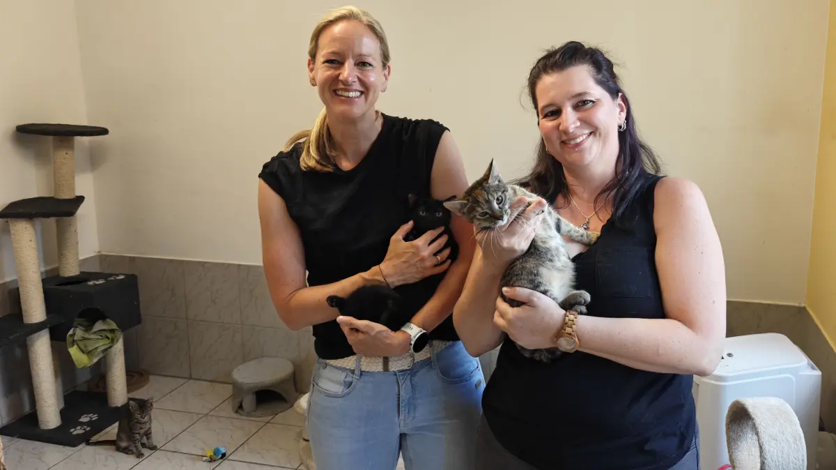 Kassiererin Daniela Herz (links) und Schriftführerin Sabine Pfau vom Tierschutzverein Oberndorf zeigen uns ihre Schützlinge auf der Katzenstation in der Wasserfallstraße.