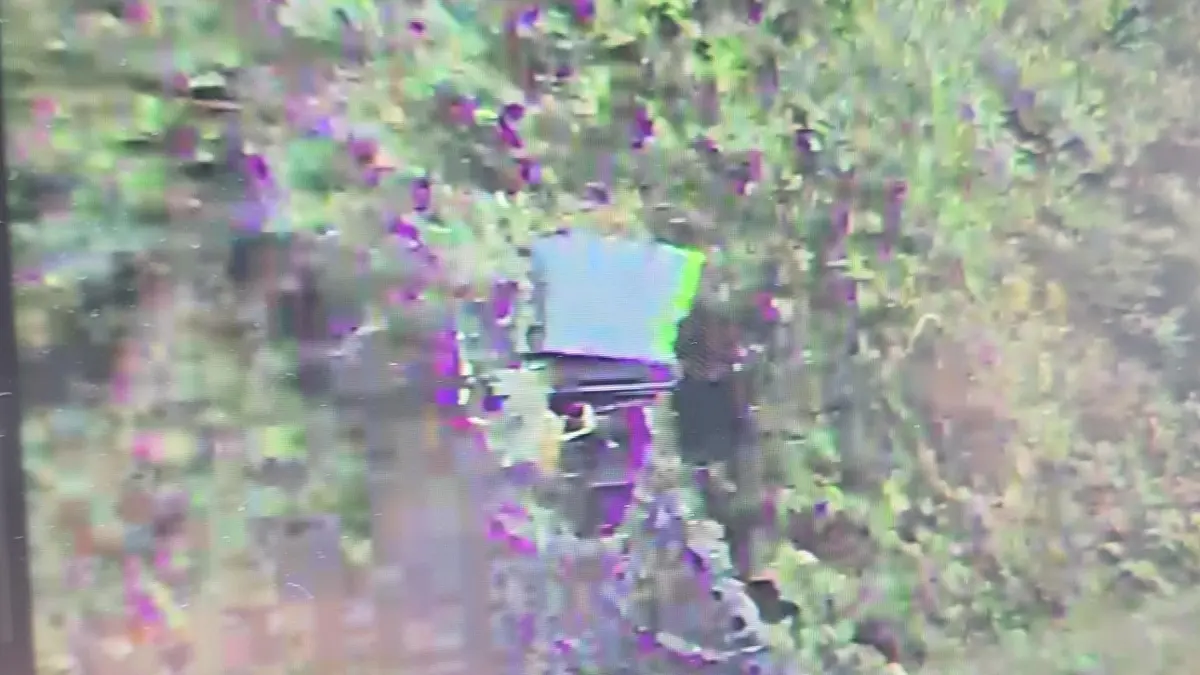In Sulz waren die Stativbeine einer mobilen Radarfalle mit einem Tarnnetz umwickelt. Zudem war sie nahe einer Hecke platziert. Das Foto entstand mit einer Auto-Dashcam.