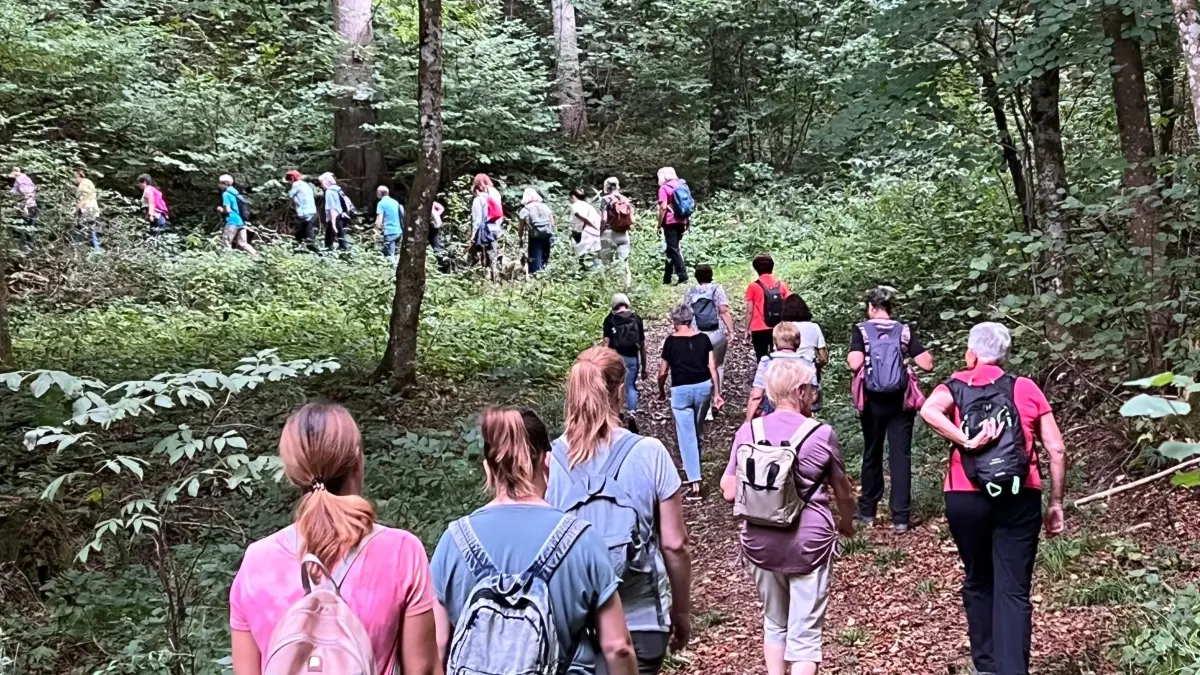 Bildtext/Beschreibung: Mit flottem Schritt ging es hoch zur Ruine Waseneck. Fotograf des Bildes: Bettina Kaltenbach
