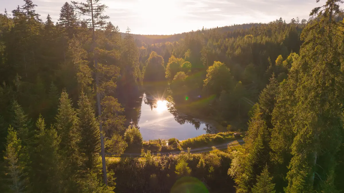 Am Kaltenbachsee kann der Sonnenuntergang genossen werden.