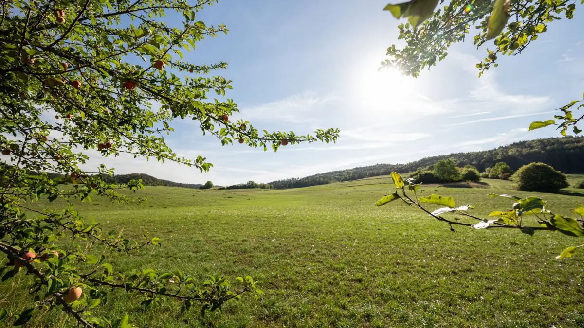 Sonne zurück: ARCHIV - 01.09.2026, Baden-Württemberg, Rottweil: Die Sonne scheint über der Landschaft. Am 1. September war meteorologischer Herbstanfang. (zu dpa: «Ist der Sommer zurück? Wo es bald schon wieder heiß wird») Foto: Silas Stein/dpa +++ dpa-Bildfunk +++