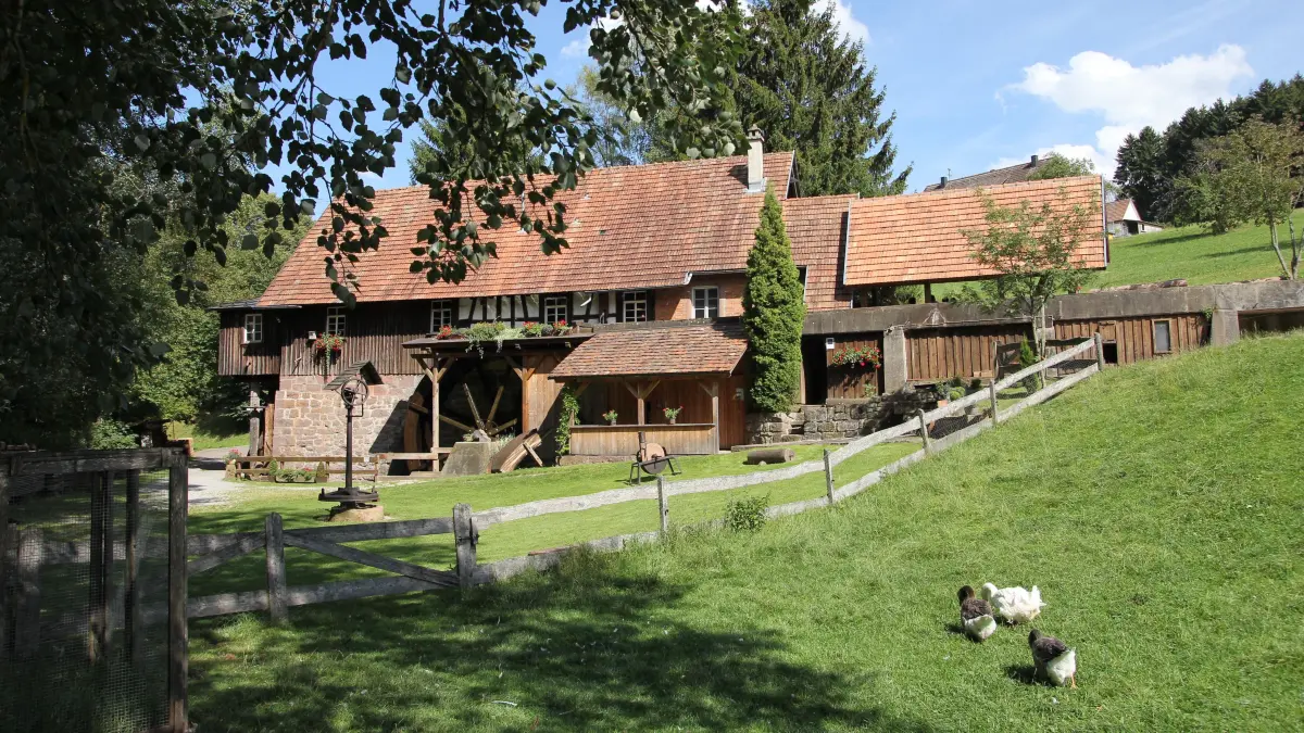 Die Mönchhof-Sägemühle lädt am kommenden Sonntag zum Tag der offenen Tür ein.