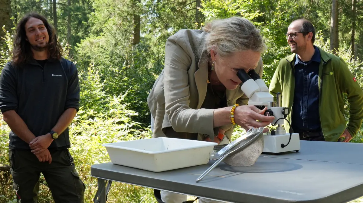 Umweltwissenschaftler Pascal Schweizer der Life Science AG (links) und Florian Kübler, Geschäftsführer der Geschäftsstelle des Biosphärengebiets Schwarzwald (rechts), schauen zu, wie Umweltministerin Thekla Walker Kleinstlebewesen aus der benachbarten Quelle unterm Mikroskop begutachtet.