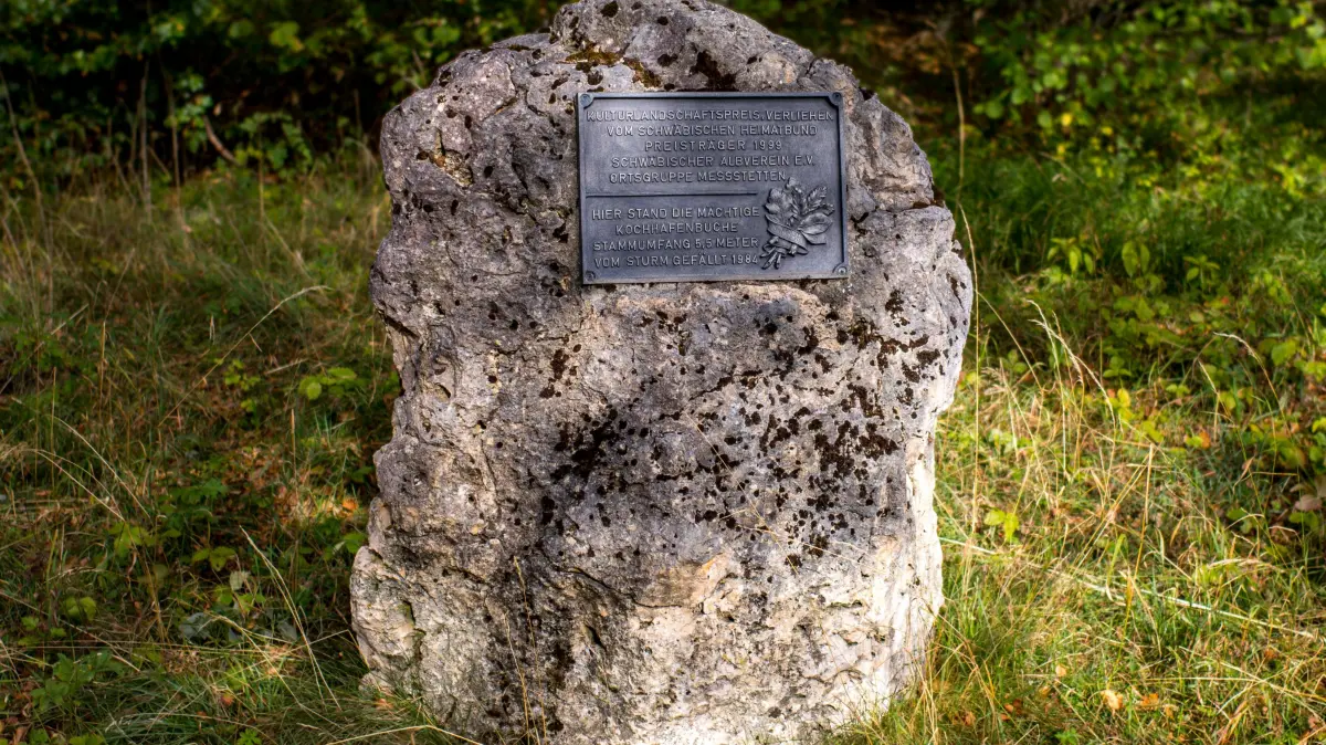 Wo heute dieser Gedenkstein an den 1999 verliehenen Kulturlandschaftspreis erinnert, stand einst die stattliche Kochhafenbuche.