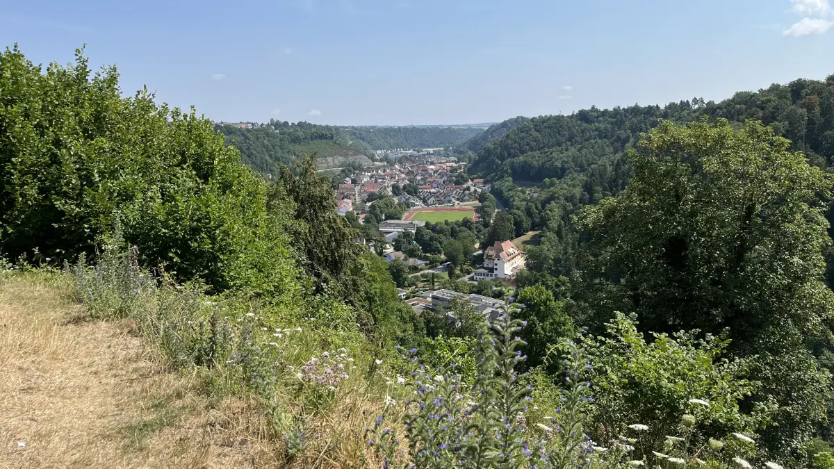 In der schwäbischen Kleinstadt Sulz am Neckar spielten sich Ende 2025 filmreife Szenen ab, wie sie im Drehbuch eines Krimis geschrieben stehen könnten. Jetzt hat die Staatsanwaltschaft gegen einen Sulzer erhoben. Die Tatvorwürfe lauten: versuchte Anstiftung zum Mord und Diebstahl.