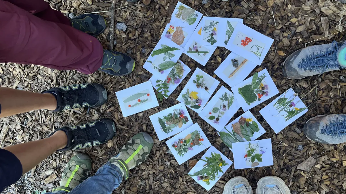 Mit viel Kreativität setzten sich die Teilnehmer mit dem Thema Natur auseinander.