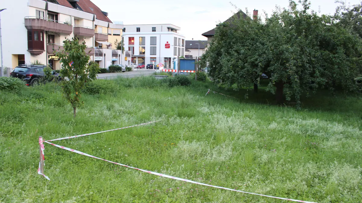 Der Bürgerverein würde die Wiese in der Neuen Mitte gerne temporär mit einem Ausschank beleben.