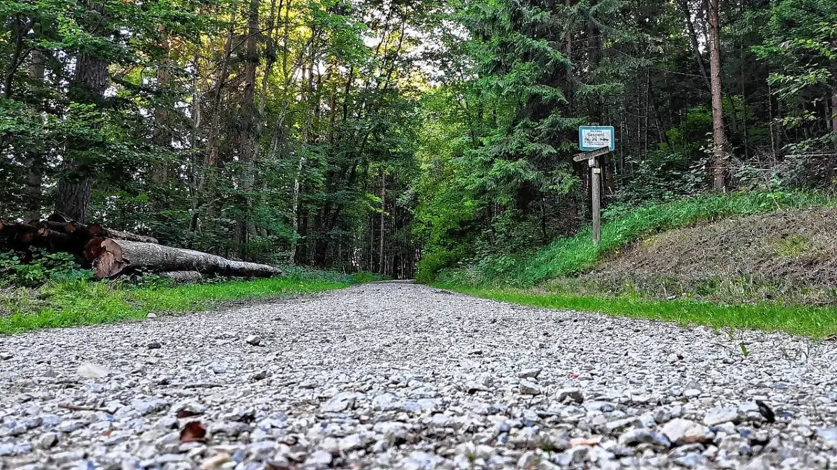 Für Laien ist es kaum zu erkennen, ob sie rund um Blumberg wie hier auf dem Eichberg, in einem Wald in öffentlichem oder Privatbesitz unterwegs sind.