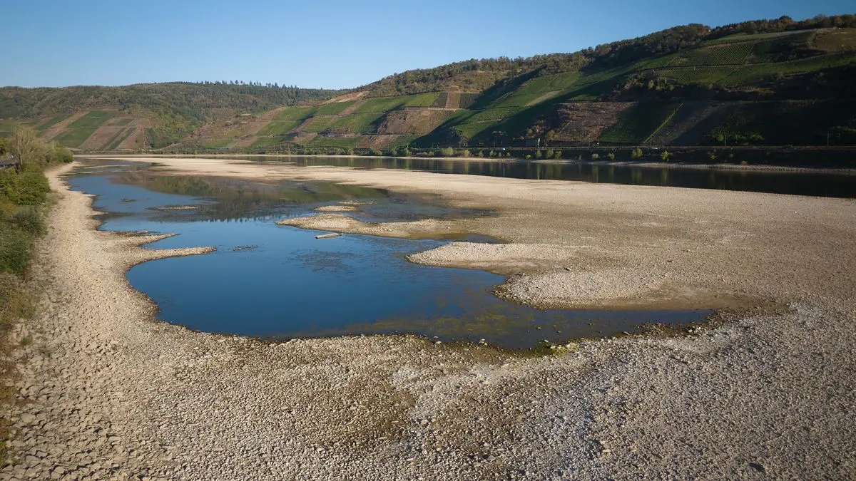 Riesige Sandbänke sind im August 2026 im Rhein bei Osterspai in Rheinland-Pfalz entstanden. Trockenheit und Hitze ließen die Pegelstände fallen.