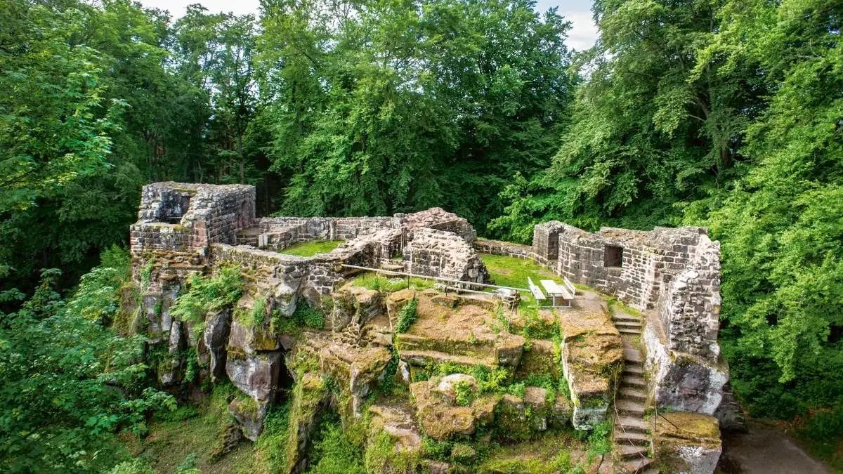 Die Burgruine Lützelhardt liegt östlich von Seelbach. Am Sonntag kommender Woche wird hier groß gefeiert.
