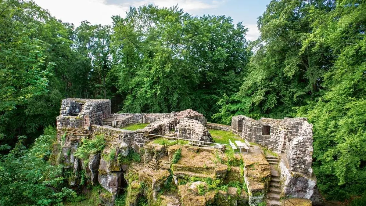 Die Burgruine Lützelhardt liegt östlich von Seelbach. Am Sonntag kommender Woche wird hier groß gefeiert.