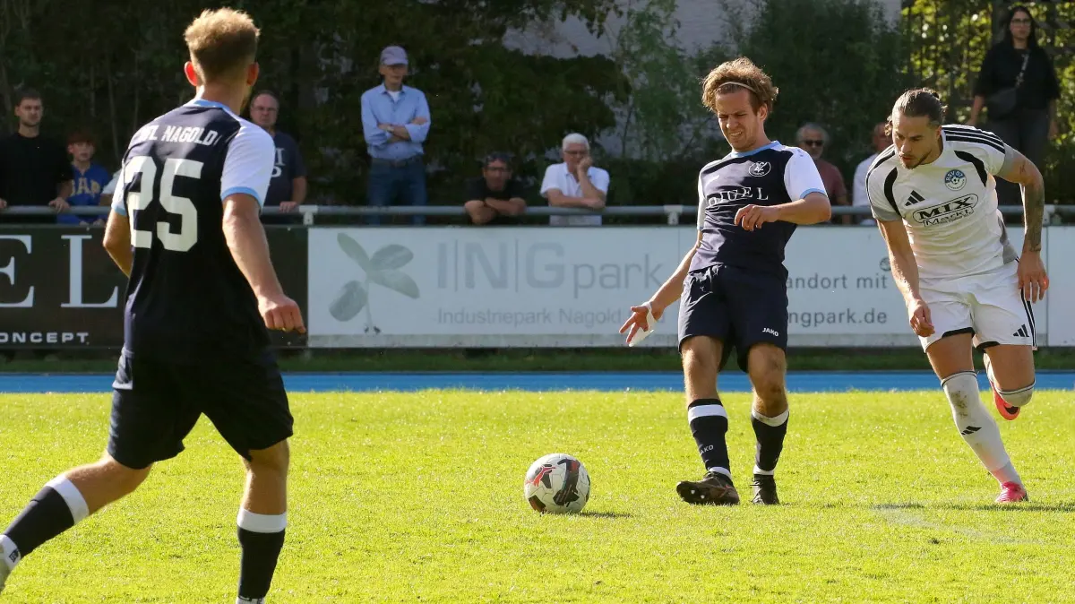 VfL Nagold Hogg Faloar